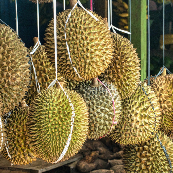 All of you who do not like to eat durian must know things.