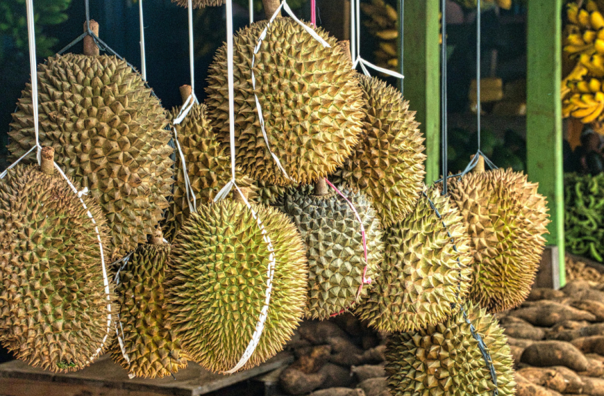 All of you who do not like to eat durian must know things.