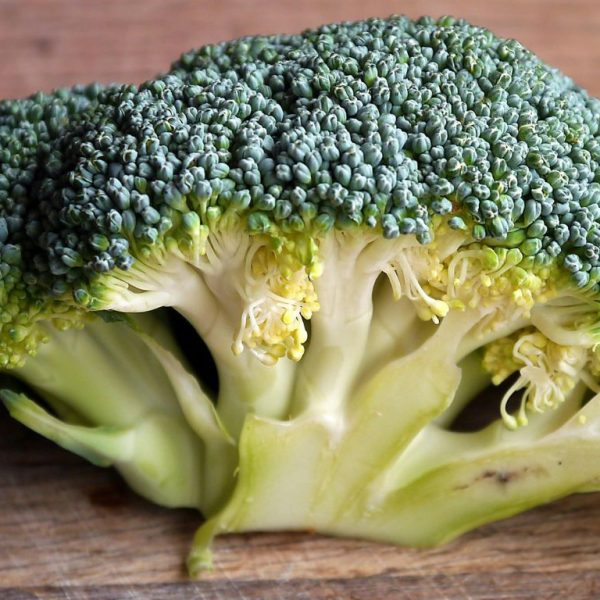 Why should you eat broccoli?