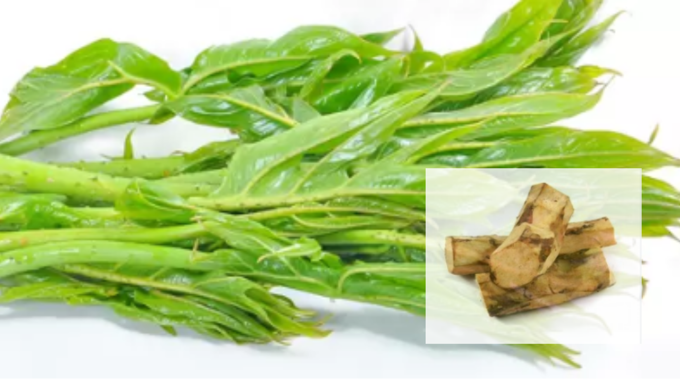 Kohila is famous as a suitable medicine for hemorrhoids. Dietary fibers prevent constipation.