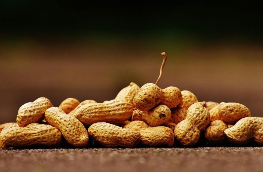 රටකජු(peanuts) ගැන ඔබ මේ දේවල් දැන සිටියාද?