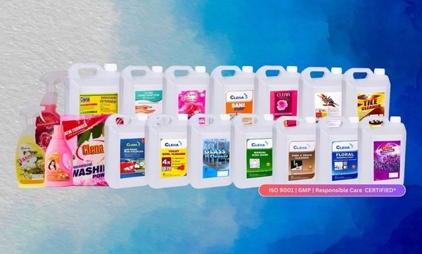 උත්සව සමයේ ඔබේ නිවස පිරිසිදු කරන විශේෂඥයා: Clena