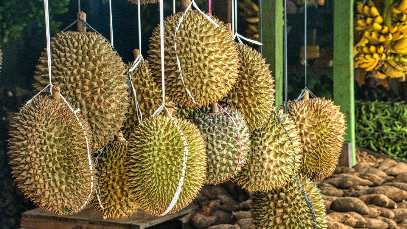 All of you who do not like to eat durian must know things.