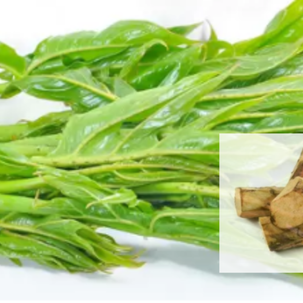 Kohila is famous as a suitable medicine for hemorrhoids. Dietary fibers prevent constipation.