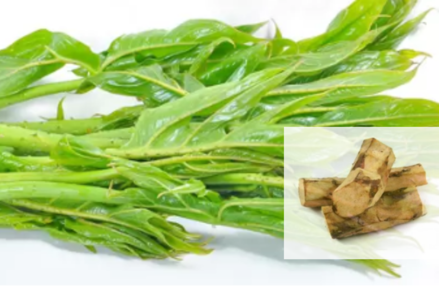 Kohila is famous as a suitable medicine for hemorrhoids. Dietary fibers prevent constipation.