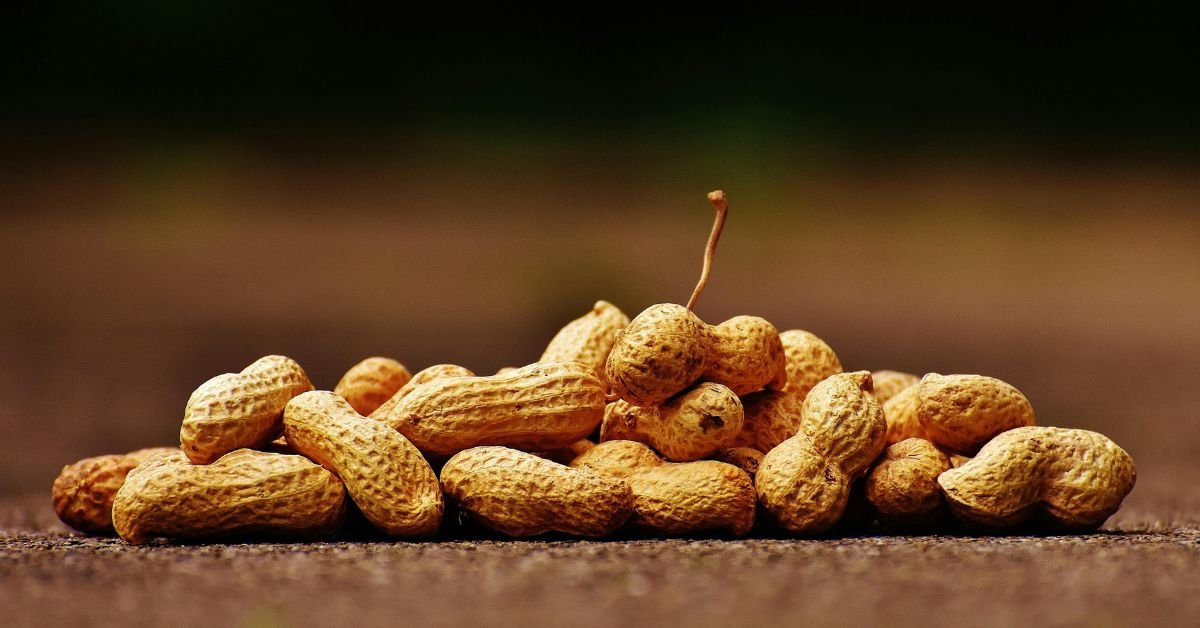 රටකජු(peanuts) ගැන ඔබ මේ දේවල් දැන සිටියාද?